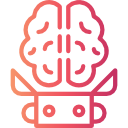 Brain