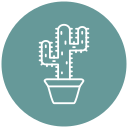 cactus icon