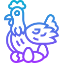 pollo icon