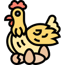 pollo icon