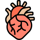 corazón icon