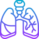 pulmones icon