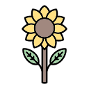 girasol icon