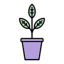 planta icon