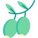 olivos icon