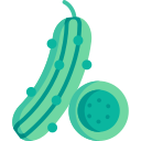 pepino icon