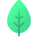 verde icona