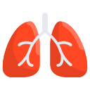 pulmones icon