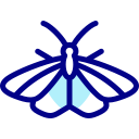 mariposa icon