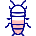 cucaracha