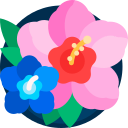 hibisco icon