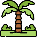 palmera