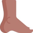 le pied 