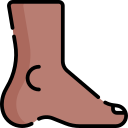 le pied 