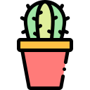 cactus icon