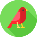 pájaro icon