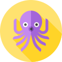 pulpo icon