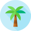 palmera icon