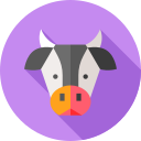 vaca icon