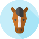 caballo icon