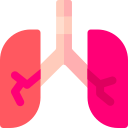 pulmones icon