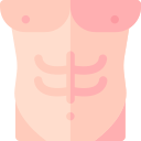 abdominales icon