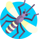 mosquito icon