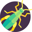 saltamontes icon