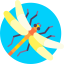 libélula icon