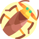 insecto de agua gigante icon