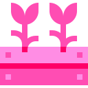 flores icon