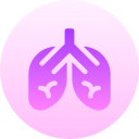 pulmones icon