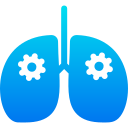 pulmones