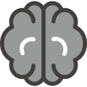 cerebro humano icon