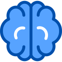 cerebro humano icon