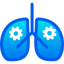 pulmones icon