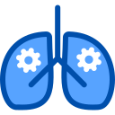 pulmones icon