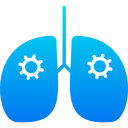 pulmones