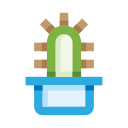 cactus icon