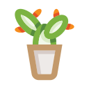 cactus icon