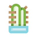 cactus icon