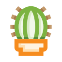 cactus icon