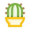 cactus icon