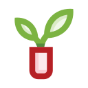 maceta icon