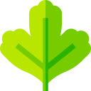 cilantro icon