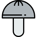 seta icon