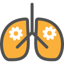 pulmones