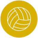 vóleibol icon