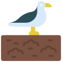 gaviota icon