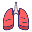 pulmones 